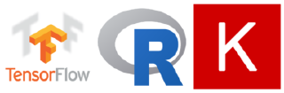 More flexible models with TensorFlow eager execution and Keras