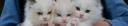 forcats 0.4.0