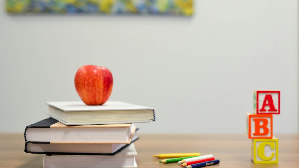 Building capacities to teach data science in Latin America