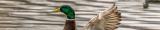 duckplyr fully joins the tidyverse!