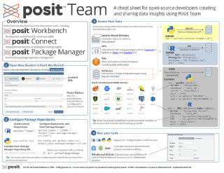 Posit Team