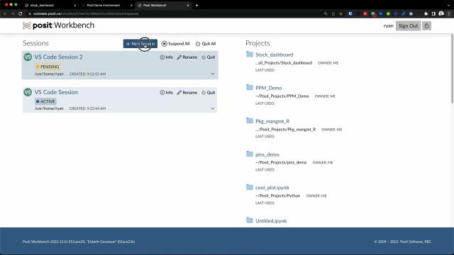 Running multiple R & Python sessions at once on Posit Workbench
